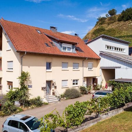 Winzerhof Senn Apartman Vogtsburg Kültér fotó