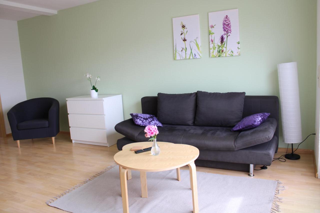 Winzerhof Senn Apartman Vogtsburg Kültér fotó