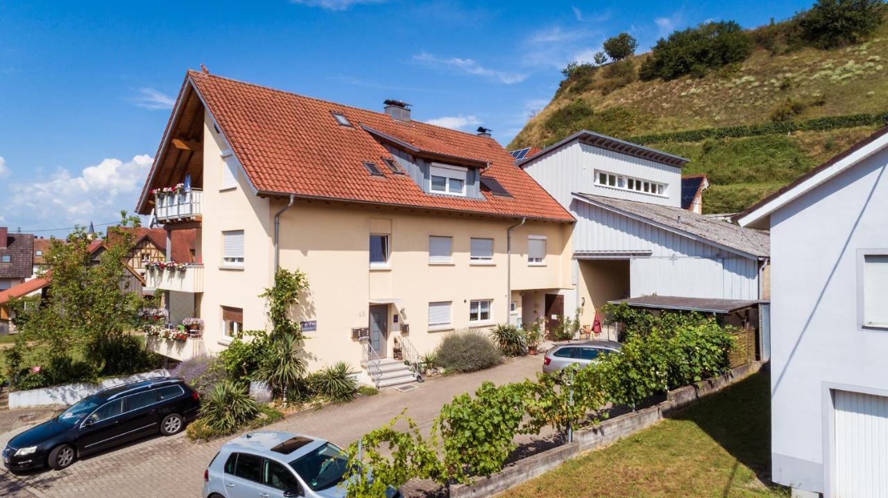 Winzerhof Senn Apartman Vogtsburg Kültér fotó