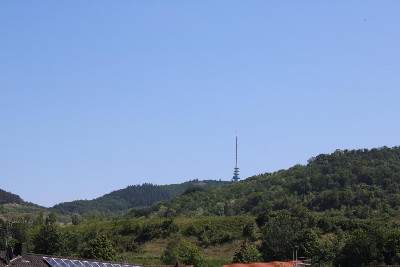 Winzerhof Senn Apartman Vogtsburg Kültér fotó