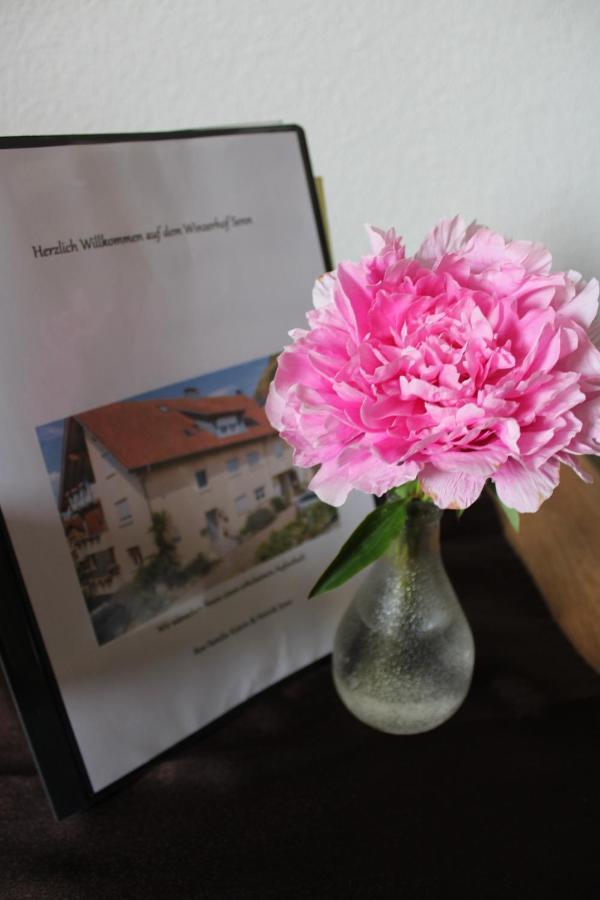 Winzerhof Senn Apartman Vogtsburg Kültér fotó