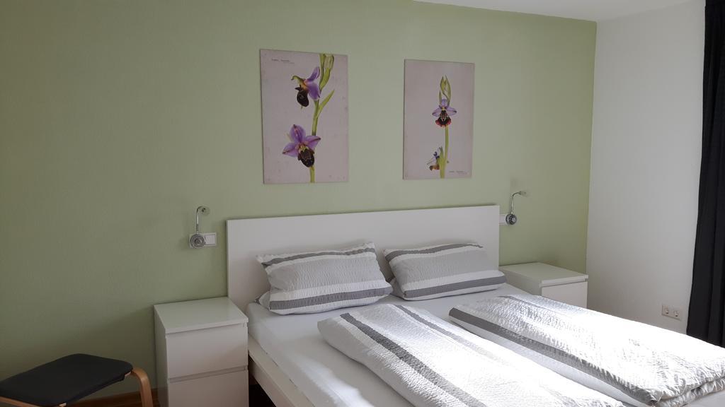 Winzerhof Senn Apartman Vogtsburg Kültér fotó