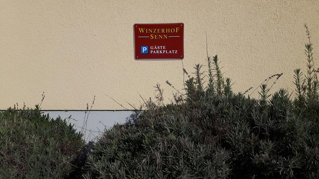 Winzerhof Senn Apartman Vogtsburg Kültér fotó